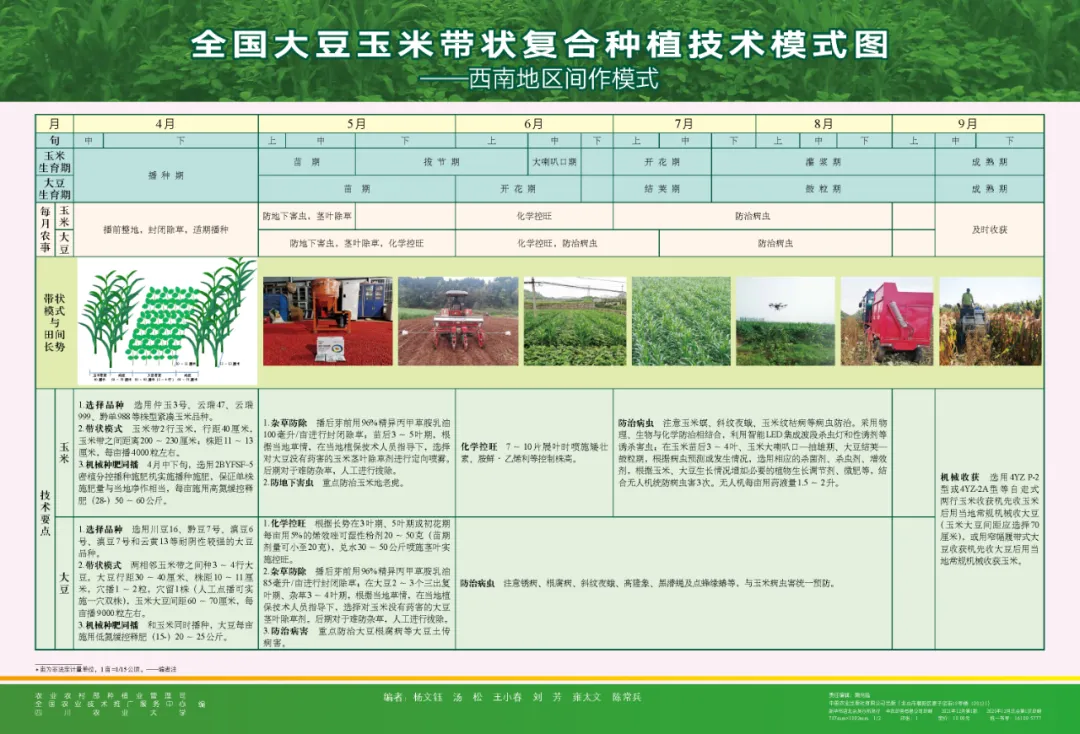 玉米大豆长期发展趋势！大豆自产量可增三倍，利润翻倍！