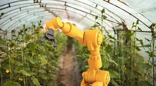 驱动未来农业蓬勃发展的四大关键技术