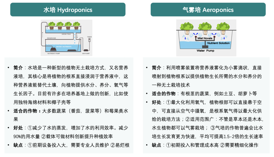 垂直农业，一个可持续的未来？