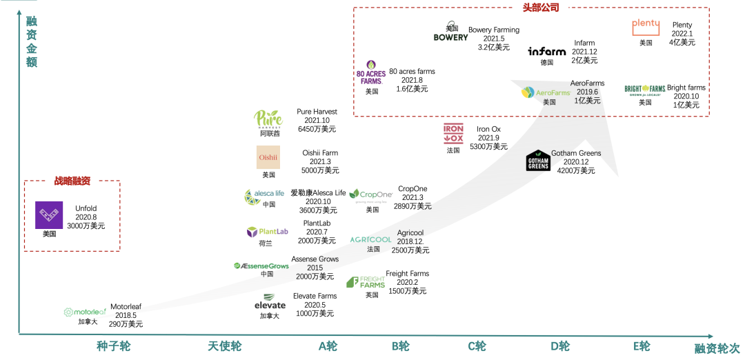 垂直农业，一个可持续的未来？