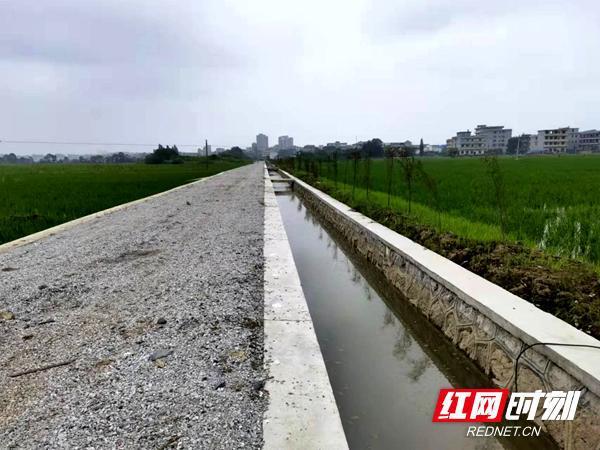 湖南邵东：集中连片规模开发整体推进高标准农田建设