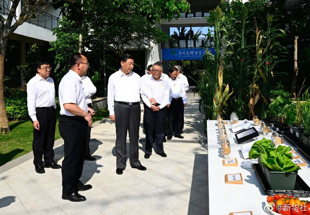 10日下午，习近平总书记在海南省三亚市崖州湾种子实验室考察调研时强调，种子是我国粮食安全的关键。只有用自己的手攥紧中国种子，才能端稳中国饭碗，才能实现粮食安全。种源要做到自主可控，种业科技就要自立自强。这是一件具有战略意义的大事。要弘扬袁隆平等老一辈科技工作者的精神，十年磨一剑，久久为功，把这件大事抓好。