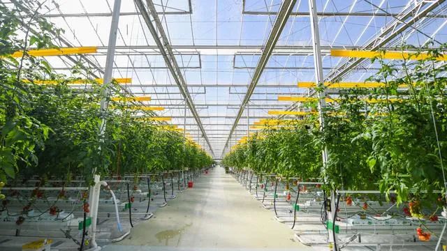 好！北京：设施农业机械化率今年将达到43.5%！