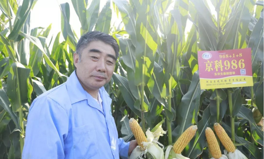 深度透视！农业“芯片”：中国种子战略