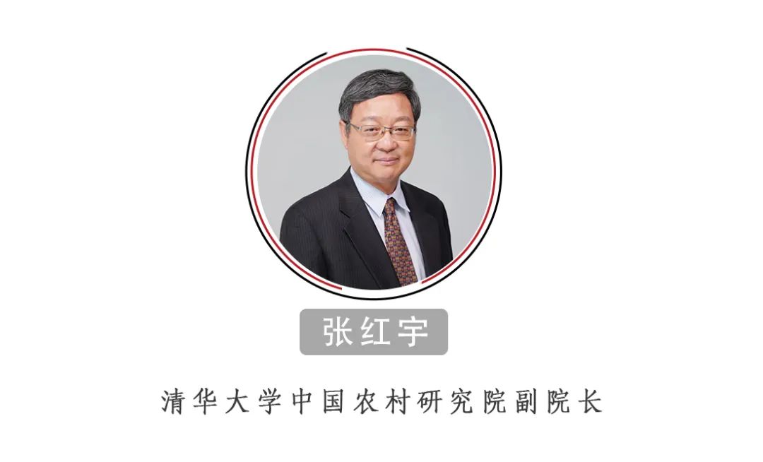张红宇：中国的粮食供给安全吗？绝对没有问题！