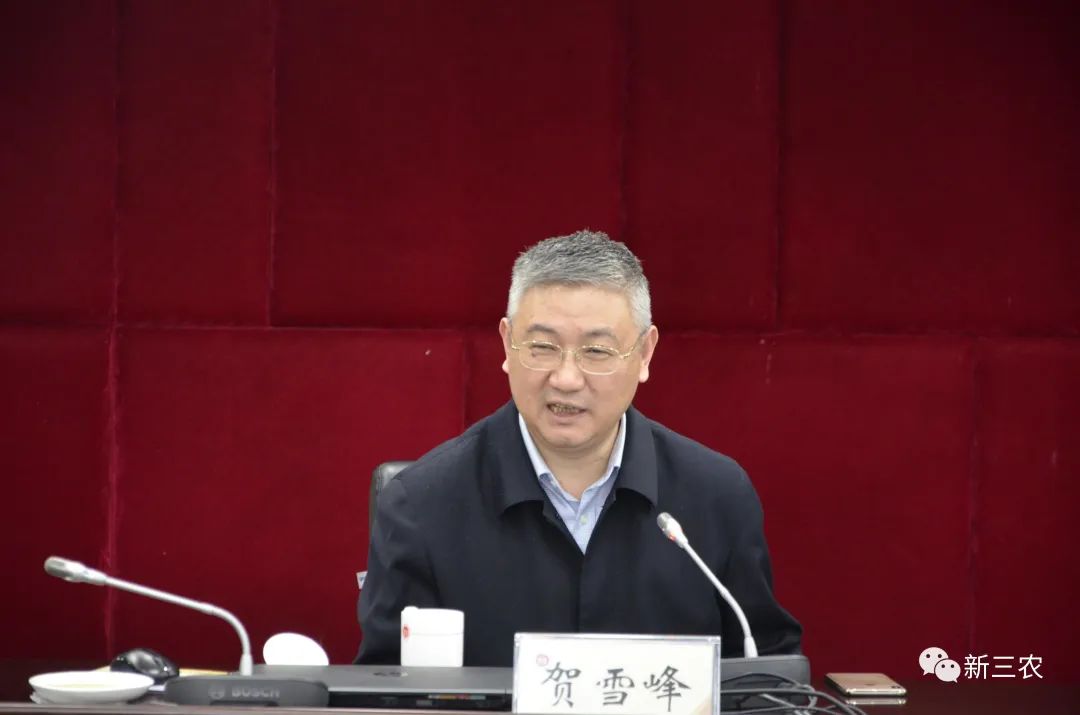 贺雪峰：关于乡村振兴战略的十五个判断