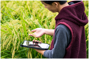 【商业案例】巴斯夫发布全球数字农业创新方案
