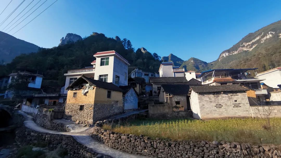 陈明：以超常改革举措稳住农业农村基本盘
