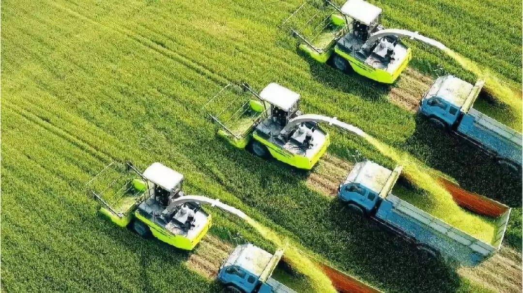 农业农村部：推进常态化农机应急作业服务队建设