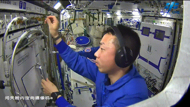 中国空间站问天实验舱中拟南芥种子和水稻种子已成功萌发 目前长势良好