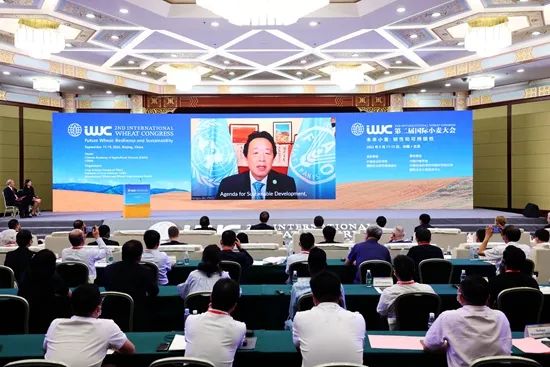 第二届国际小麦大会在北京开幕