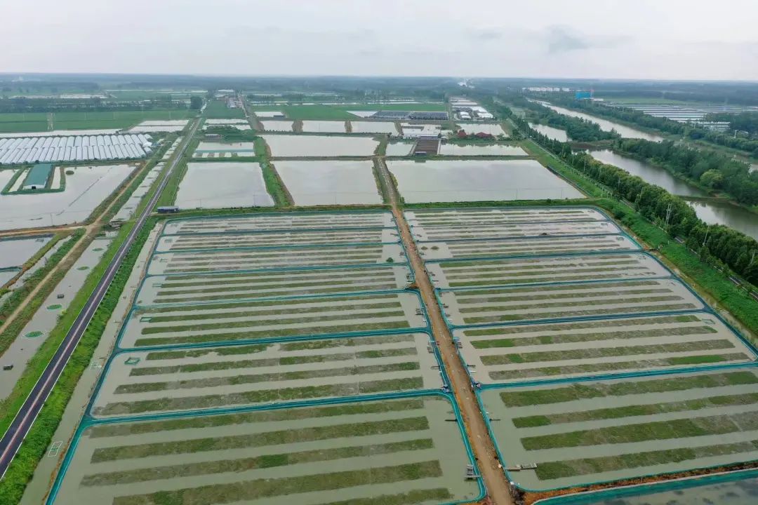 江苏省两地入选全国农业生产“三品一标”典型案例