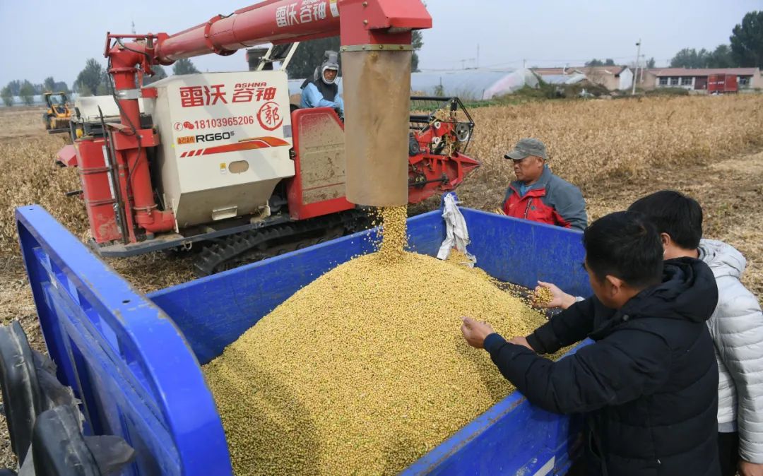 今年全国2200万亩大豆扩产目标 预计将超额完成
