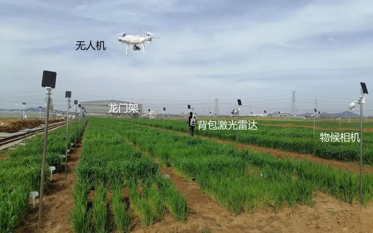 “元宇宙”里也可育种 南京农业大学数字技术赋能农业科研