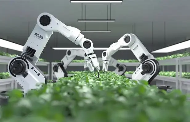 数字化转型浪潮中的农业机器人