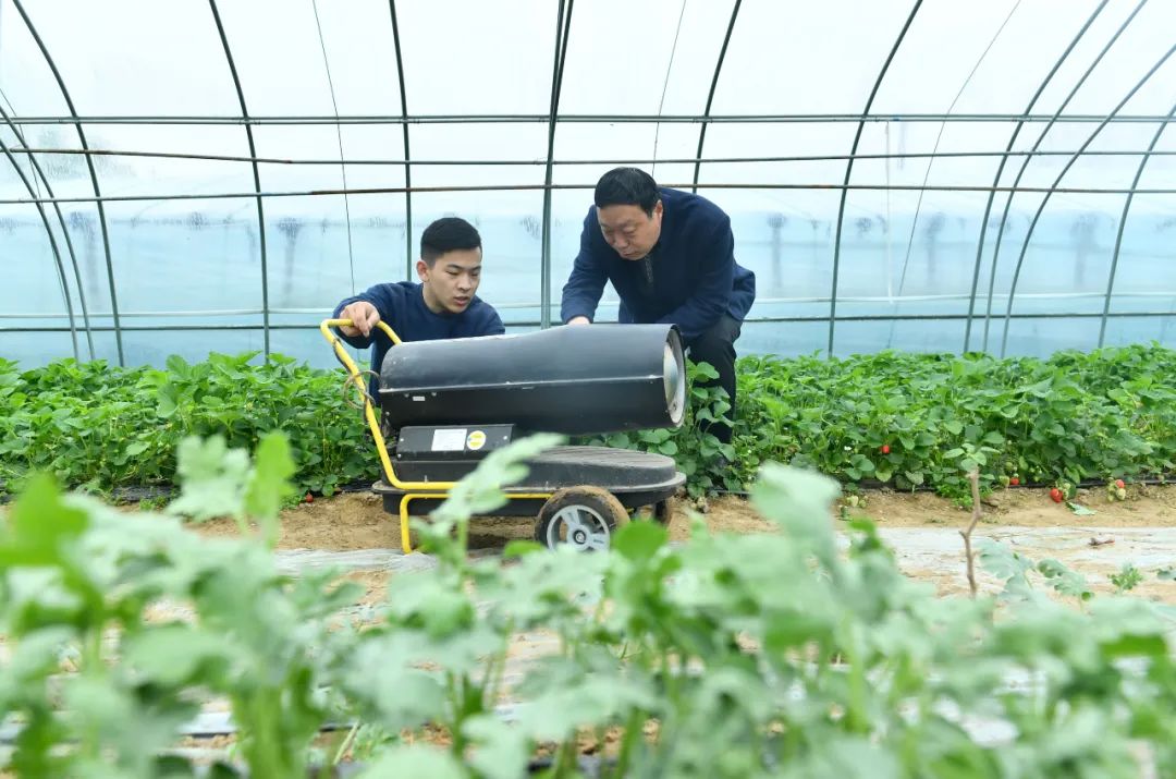 超30省区市将遭寒潮速冻，17条蔬菜生产官方指导，建议收藏！