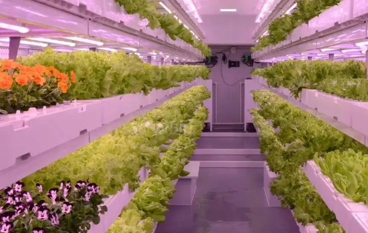 植物工厂：农业技术革命释放种植环节潜力