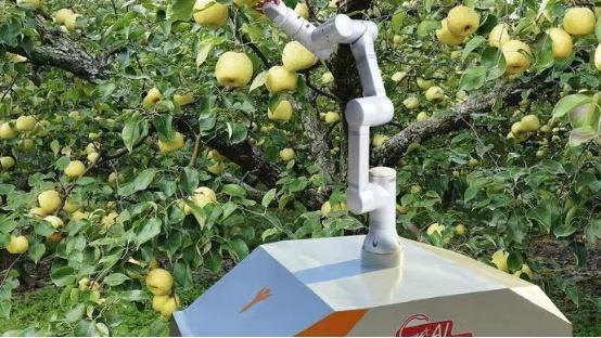 王金悦：机器人农场绘就智慧农业新图景