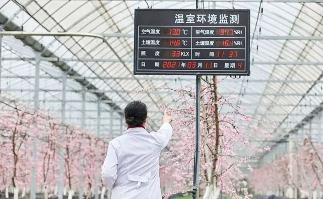 未来农业10大科技趋势和创新、亮点
