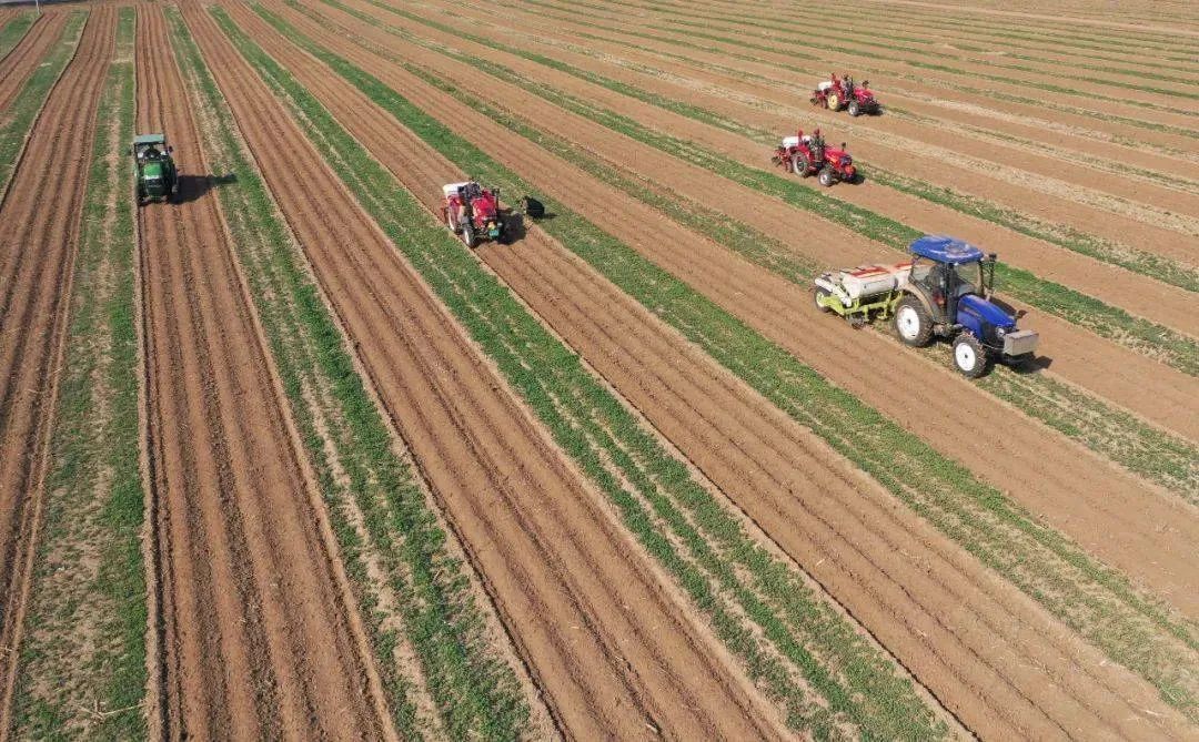中央一号文件发布：强化农业科技和装备支撑