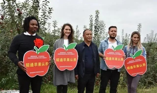 【农业模式】农产品销售创新点在哪里？十种新模式助力未来农业