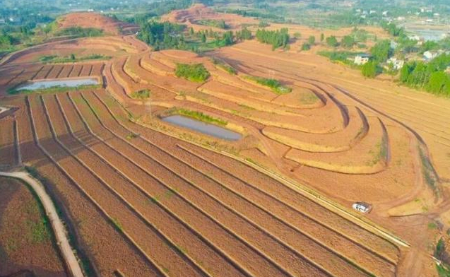 重庆在全国率先实施丘陵山区高标准农田改造提升示范工程