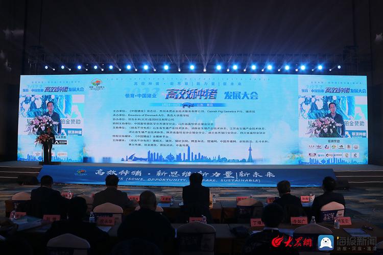 2023高效种猪发展大会在青岛召开