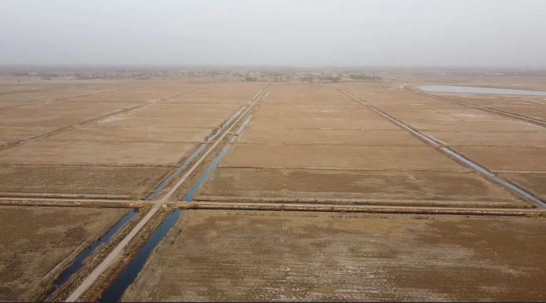 陕西榆林：6000余亩高标准农田，缘何撂荒7年？