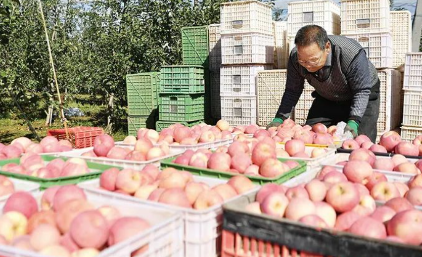 杨凌农高区：中国现代农业的“支点”