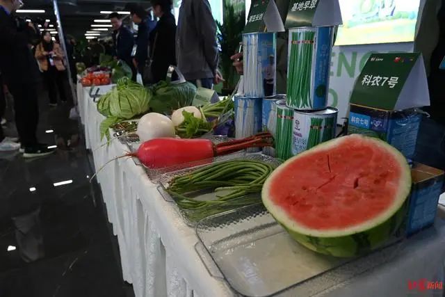 3.36亿亩近8亿吨！《2023年中国蔬菜产业发展报告》发布