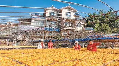 300个国家现代农业产业园成农民就业增收“加速器”