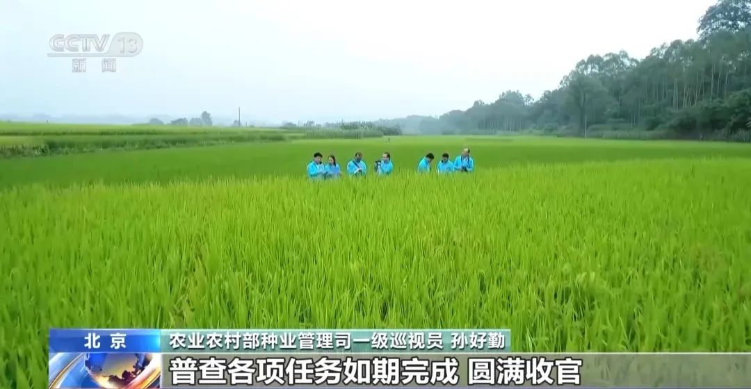 为国家粮食安全提供种质资源保障