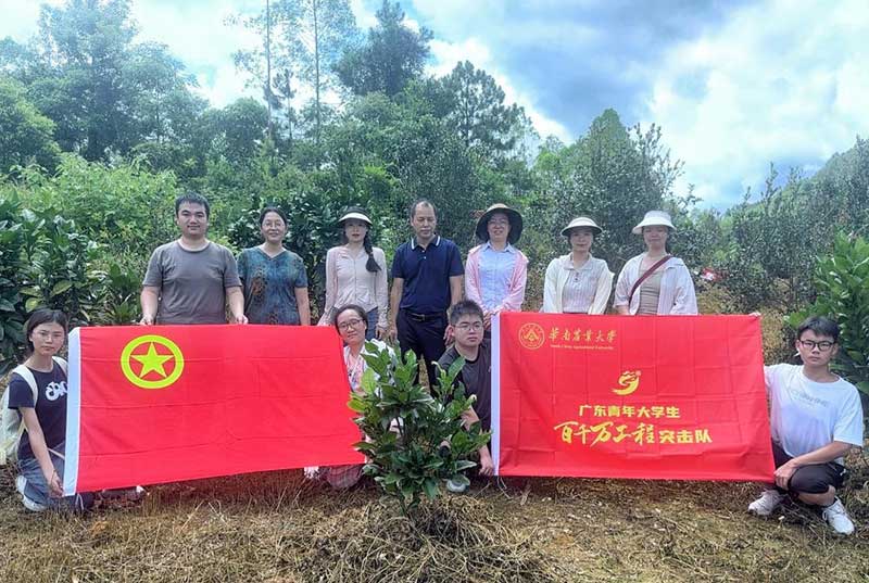 菌肥时代来了！治理土壤“疑难杂症”引领绿色农业新风尚